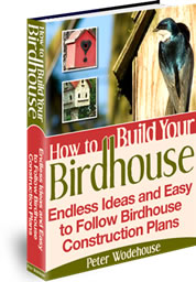 How To Build Your Birdhouse