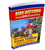 bird-watching-in-lion-country