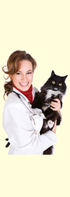 cat,cats,kitten,kittens,kitties and felines