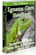 "The Ultimate Iguana Care Handbook" is the definitive guide to learning everything you need about taking care of your pet iguana ...
