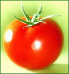 the-joyful-tomato